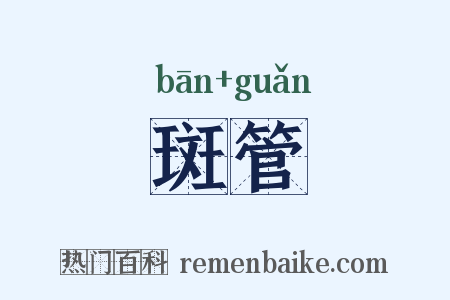 斑管是什么意思的图片
